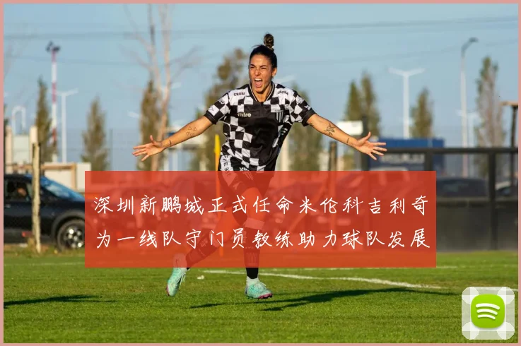 深圳新鹏城正式任命米伦科吉利奇为一线队守门员教练助力球队发展