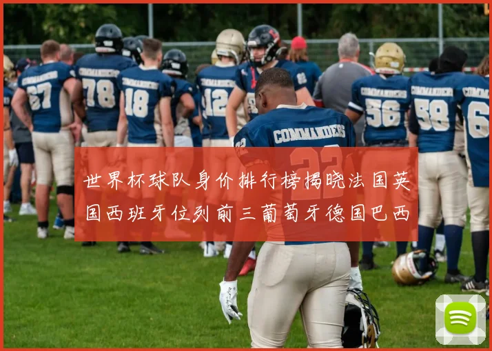 世界杯球队身价排行榜揭晓法国英国西班牙位列前三葡萄牙德国巴西身价均超九亿欧元