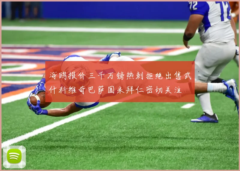 海鸥报价三千万镑热刺拒绝出售武什科维奇巴萨国米拜仁密切关注